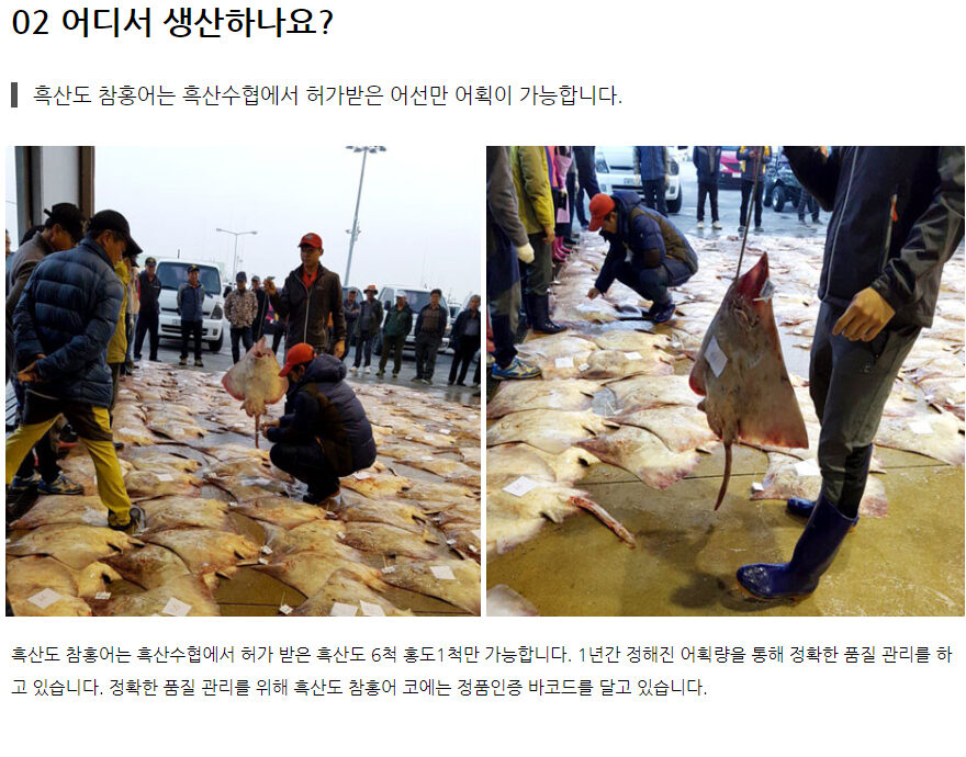 흑산도 홍어 상품 상세페이지 제작