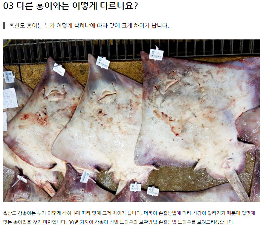 흑산도 홍어 상품 상세페이지 제작